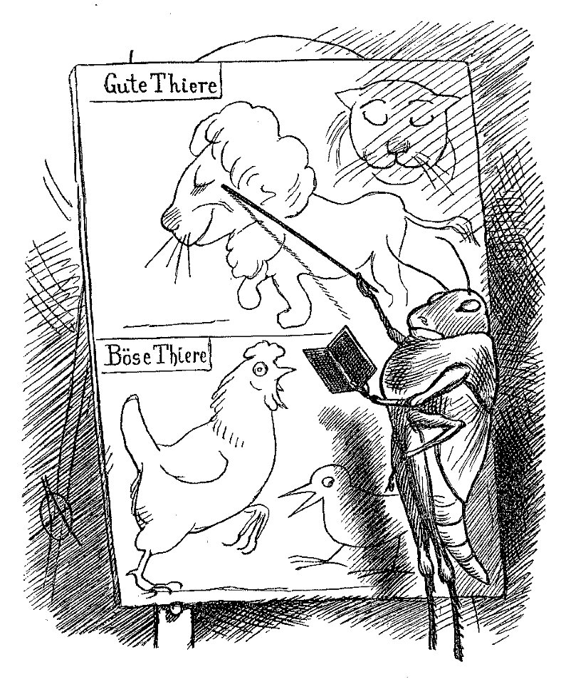 Lustige Naturgeschichte oder Zoologia comica 80