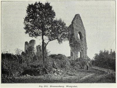 Luthmer III-203-Brunnenburg Westgiebel