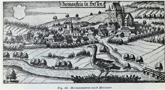 Luthmer IV-044-Hermannstein nach Meissner