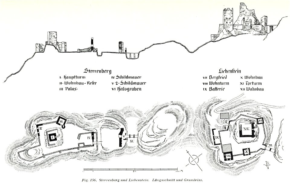 Luthmer V - 156 - Sterrenberg und Liebenstein Längsschnitt und Grundriss