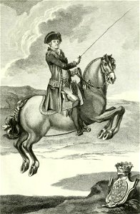 Luz da Liberal e Nobre Arte da Cavallaria, Estampa LXXXI, p. 404 Cropped