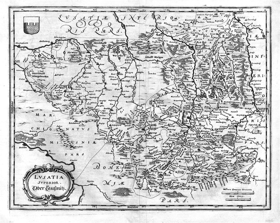 Lvsatia Superior (Merian)