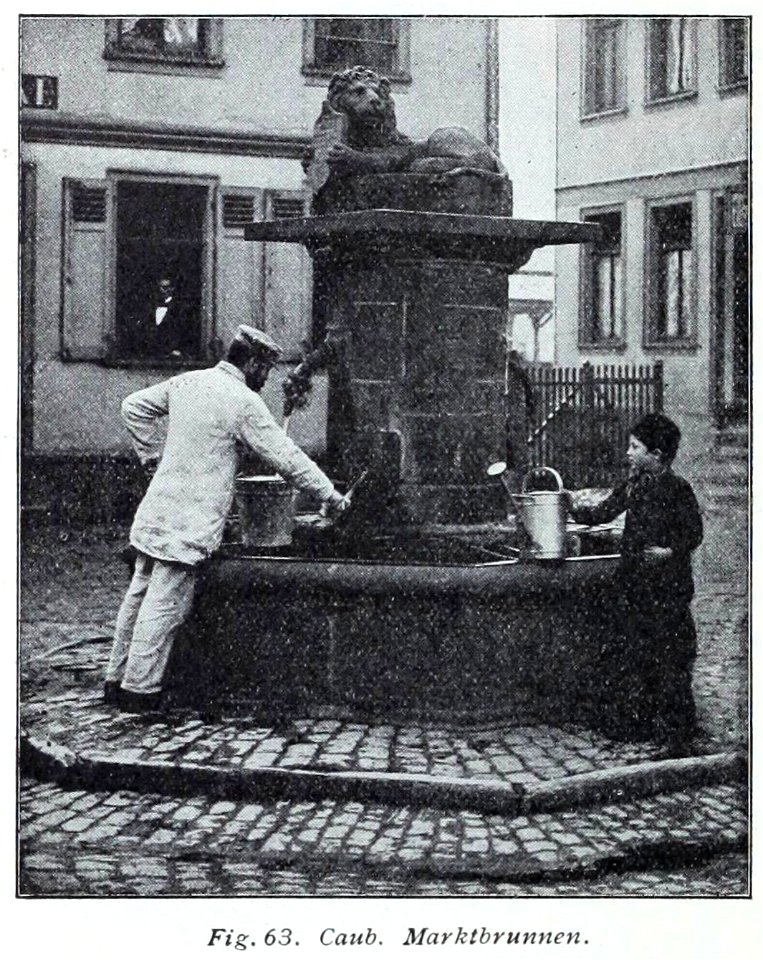 Luthmer V - 63 - Kaub Marktbrunnen