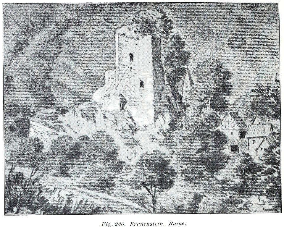 Luthmer V - 246 - Frauenstein Ruine