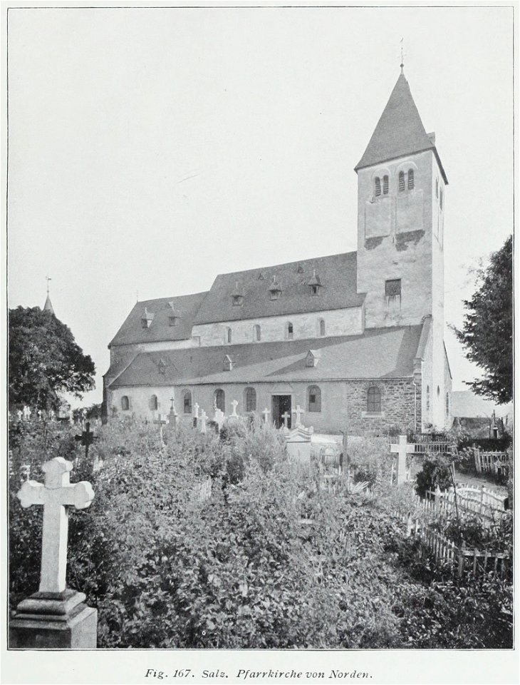 Luthmer IV-167-Salz Pfarrkirche von Norden