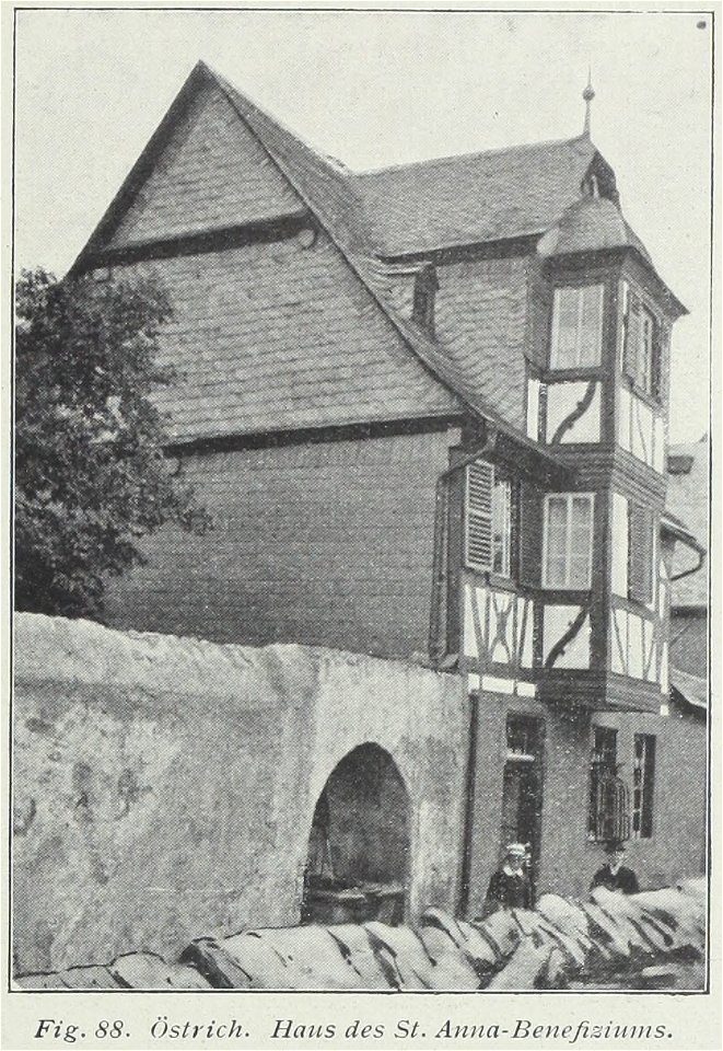 Luthmer VI-088-Östrich Haus des St Anna-Benefiziums