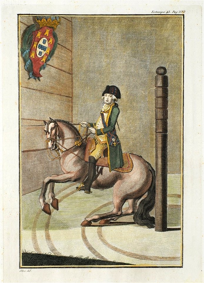 Luz da Liberal e Nobre Arte da Cavallaria, Estampa XLIII, p. 299