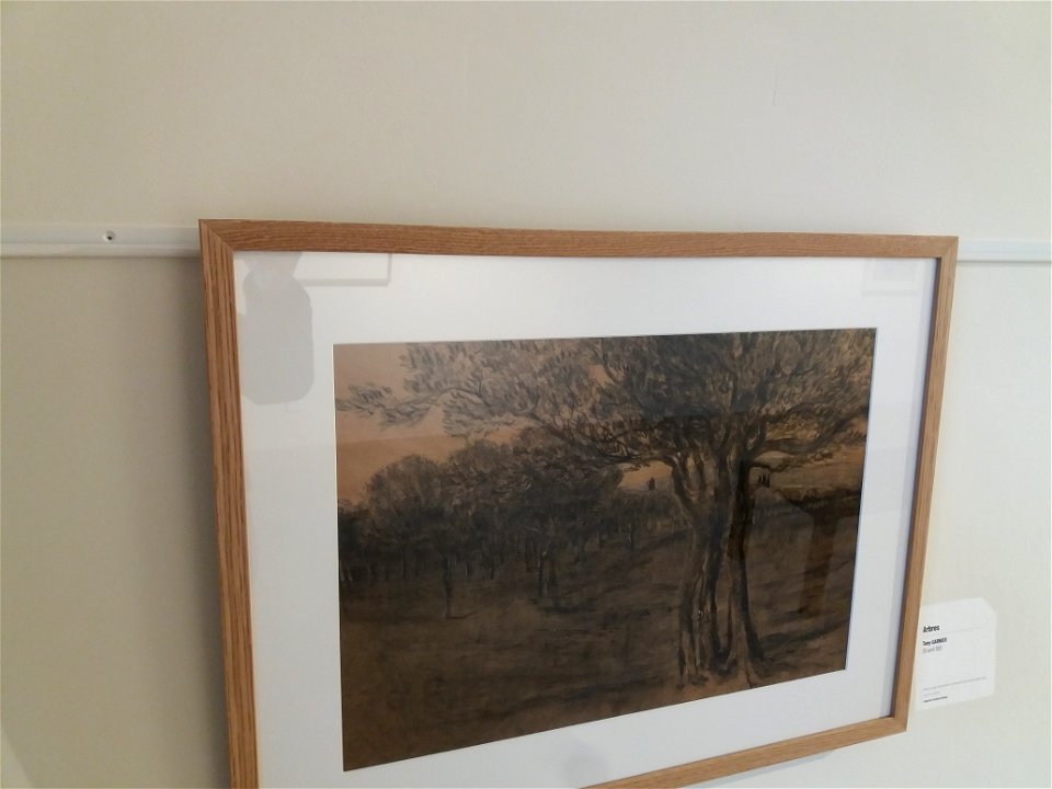 Lyon 9e - Fort de Vaise - Tony Garnier, l'œuvre libre - Arbres, 30 avril 1921