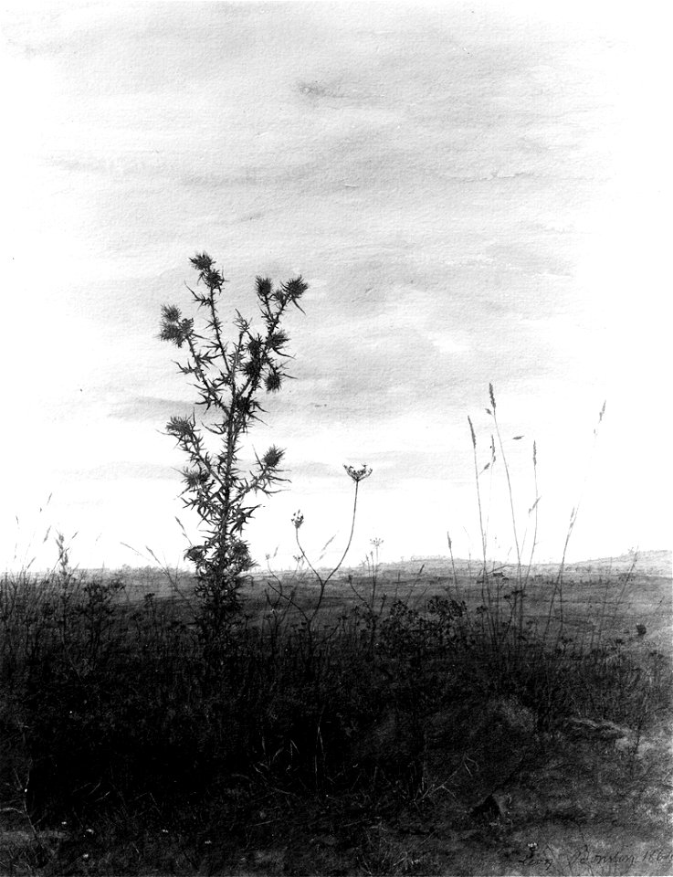 Léon Bonvin - Landscape with Thistle and Weeds - Walters 371520