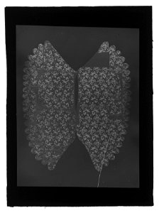 Ländstycke, tornerschabrak - Livrustkammaren - 71269-negative