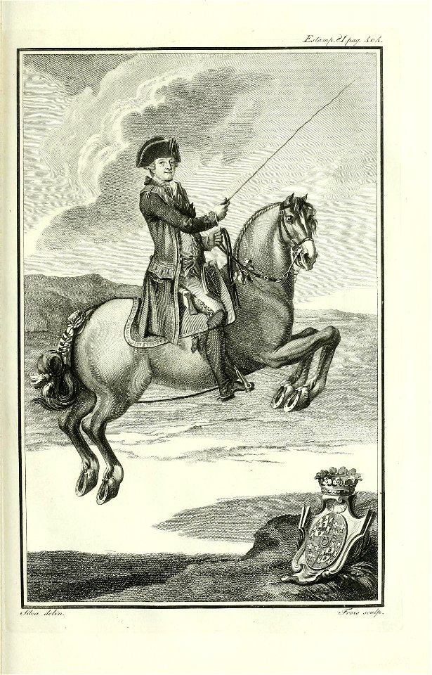 Luz da Liberal e Nobre Arte da Cavallaria, Estampa LXXXI, p. 404