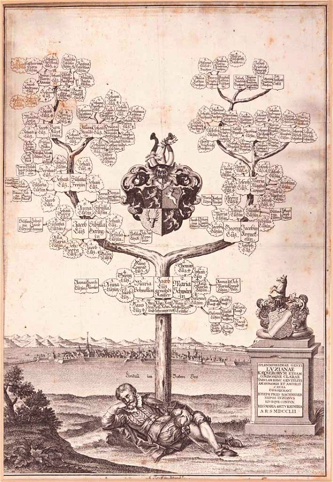Luz Stammbaum und Wappen Lindau 1752