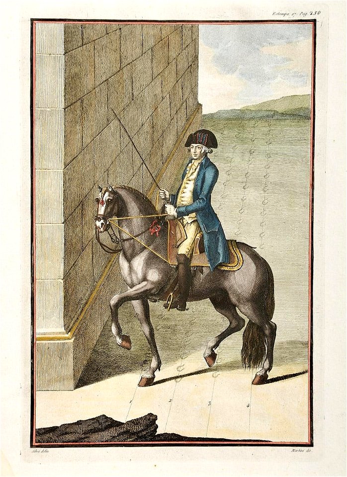 Luz da Liberal e Nobre Arte da Cavallaria, Estampa XXVII, p. 250