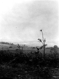 Léon Bonvin - Landscape with Bird and Weeds - Walters 371652