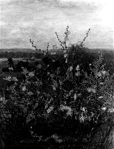 Léon Bonvin - Landscape with Wild Flowers - Walters 371653