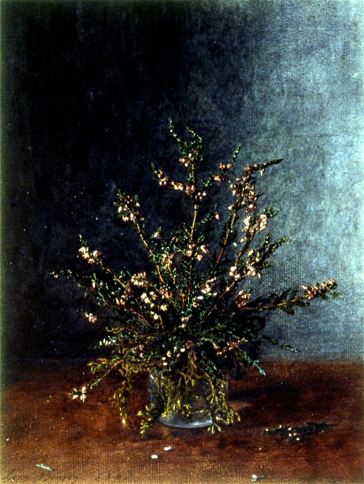 Léon Bonvin - Vase of Heather - Walters 371528