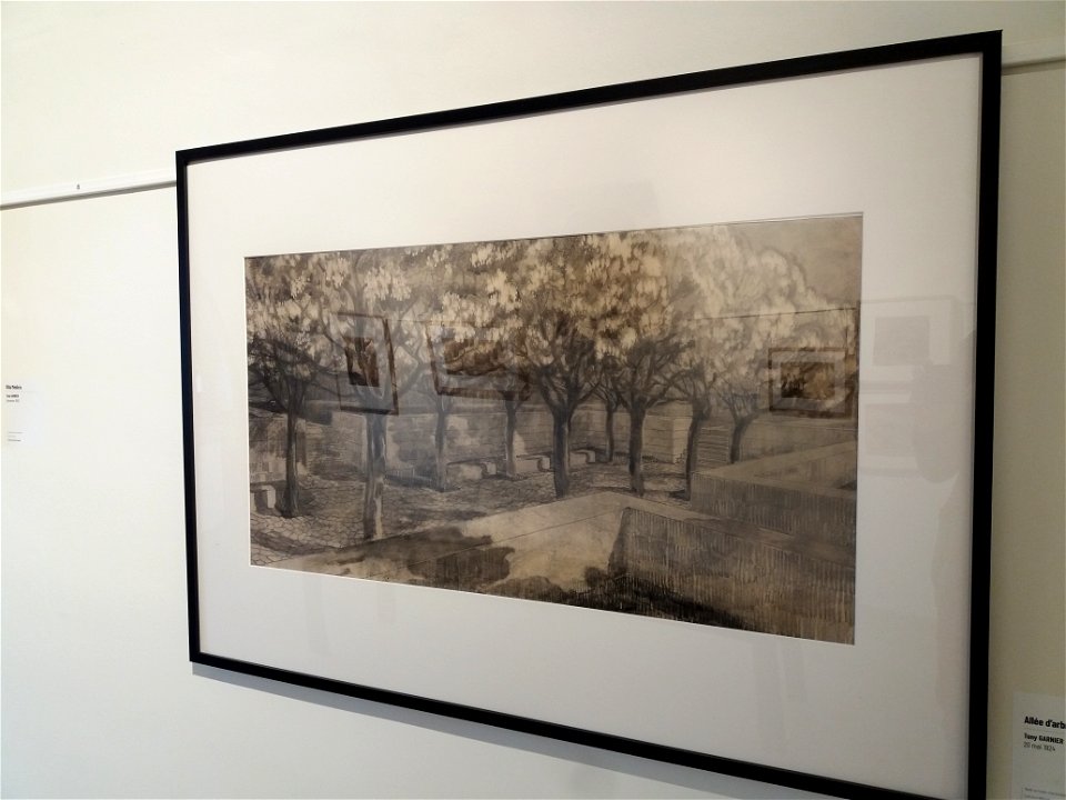 Lyon 9e - Fort de Vaise - Tony Garnier, l'œuvre libre - Allée d'arbres, 20 mai 1924