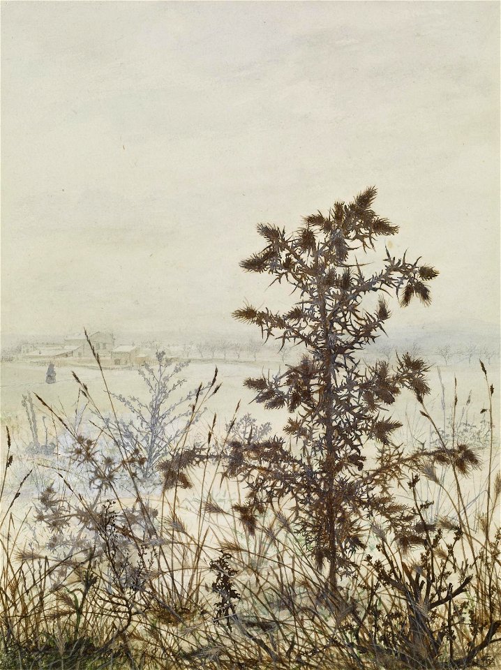 Léon Bonvin - Thistles and Weeds - Walters 371519 (2)