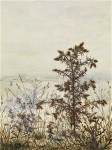 Léon Bonvin - Thistles and Weeds - Walters 371519 (2)