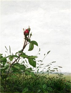Léon Bonvin - Rose and Grasses - Walters 371530