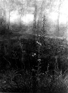 Léon Bonvin - Woodland Scene with Floral Foreground - Walters 371509