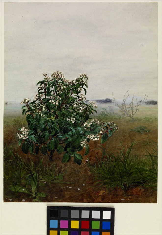 Léon Bonvin - The Flowering Shrub - Walters 371649 - Front Color Correction