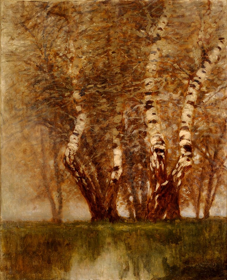 László Mednyanszky Birken