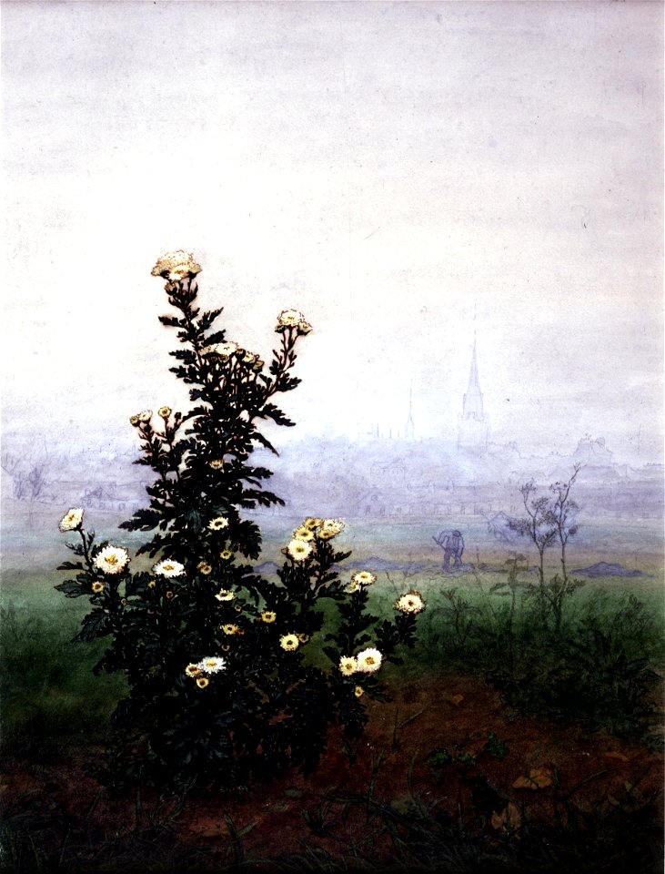Léon Bonvin - Flowering Chrysanthemum - Walters 371518