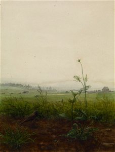 Léon Bonvin - Landscape with Bird and Weeds - Walters 371652 (2)