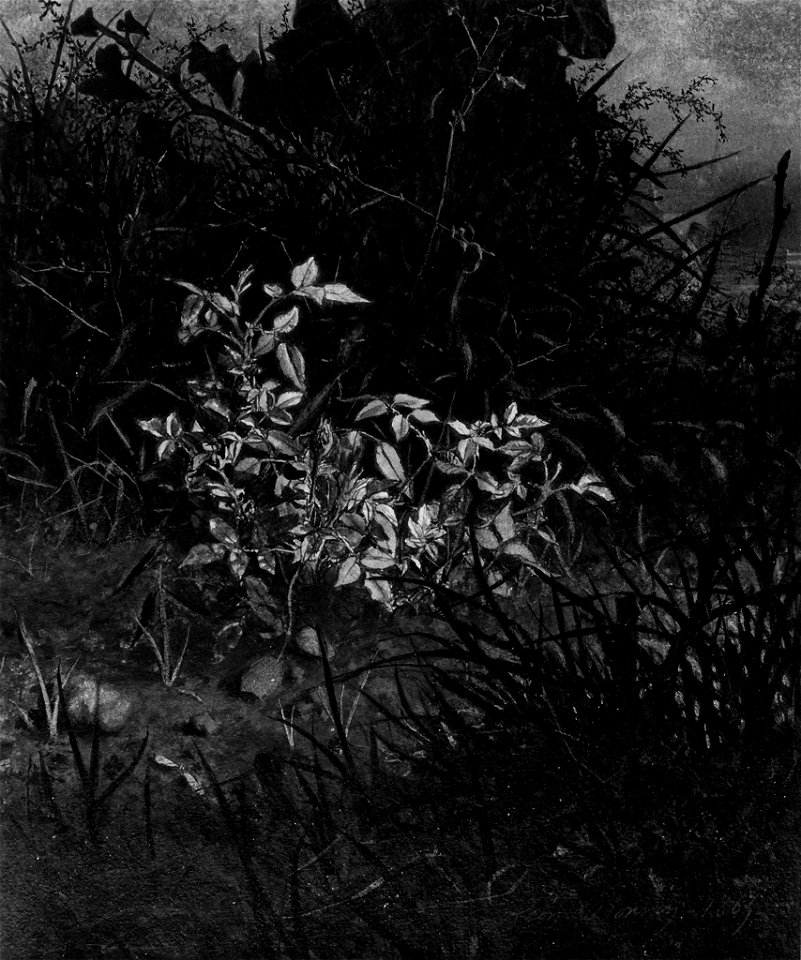 Léon Bonvin - Glimpse in a Thicket - Walters 371667