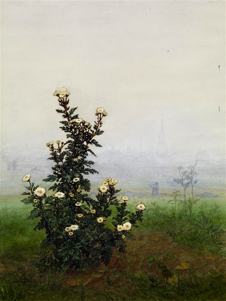 Léon Bonvin - Flowering Chrysanthemum - Walters 371518 (2)