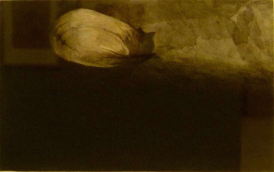 Léon Spilliaert (1904) - Slapende poes