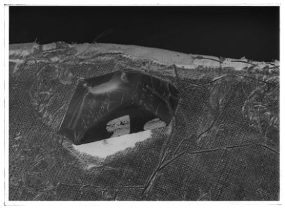 Ländschabrak, hör till Kyritzryttarens utrustning - Livrustkammaren - 1961-negative