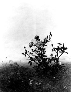 Léon Bonvin - The Rosebush - Walters 371516