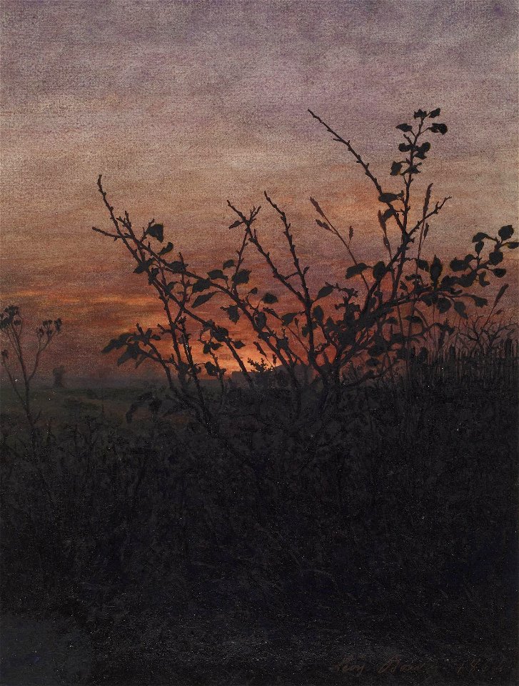 Léon Bonvin - Sunset, Woodland Scene - Walters 371513 (2)