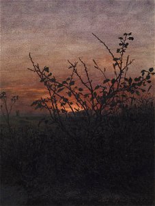 Léon Bonvin - Sunset, Woodland Scene - Walters 371513 (2)