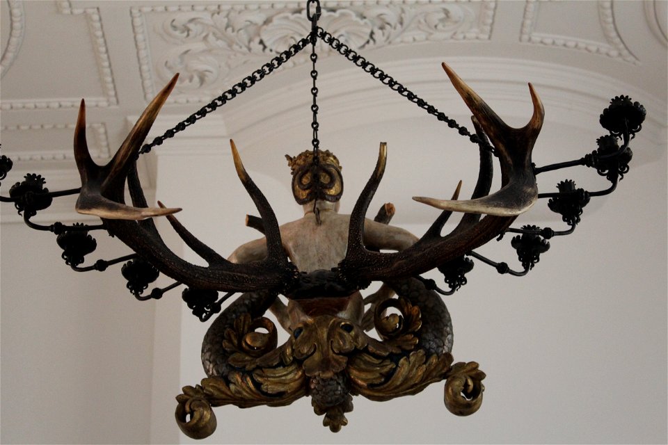 Lästerweibchen rear Jagdschloss Grunewald