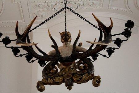 Lästerweibchen rear Jagdschloss Grunewald