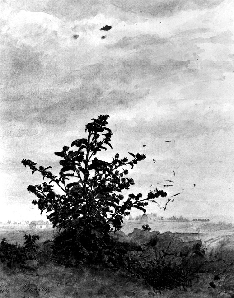 Léon Bonvin - Thistle Bush with Farm - Walters 371647