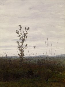 Léon Bonvin - Landscape with Thistle and Weeds - Walters 371520 (2)