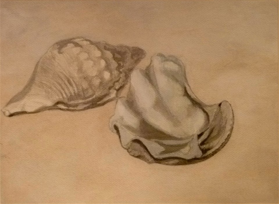 Léon Spilliaert (1908) - Stilleven met schelpen