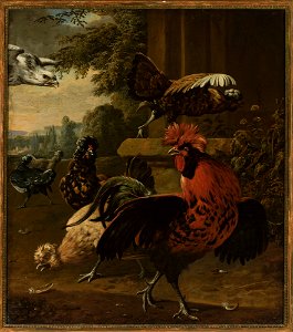 M. van der Raven - Birds attacked by a hawk - M.Ob.58 - National Museum in Warsaw