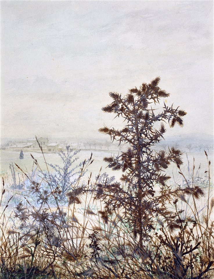 Léon Bonvin - Thistles and Weeds - Walters 371519