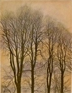 Léon Spilliaert (1938) - Arbre et Ciel
