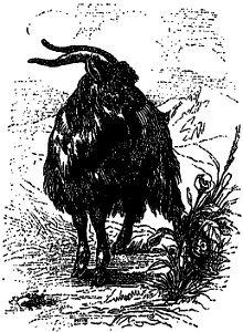 L’Ingénieux Hidalgo Don Quichotte de la Manche tome 1 illustration p. 715