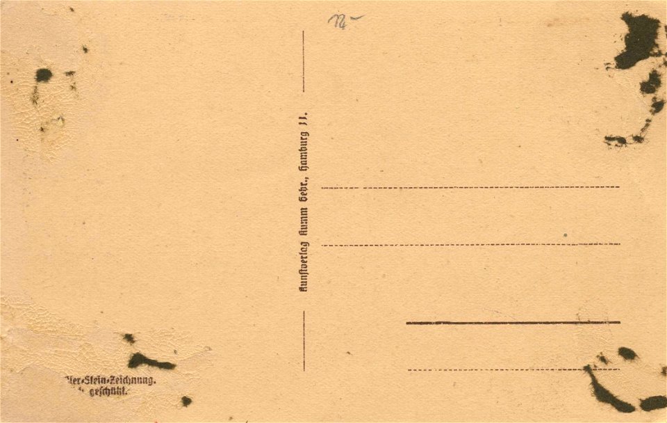 Lüneburg, Niedersachsen - Lüneburger Heide - Unter den Birken (back) (Zeno Ansichtskarten)