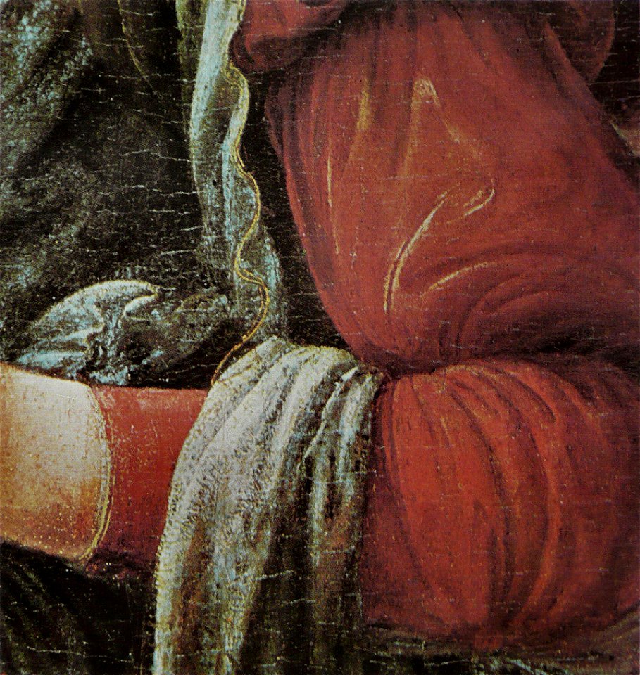 Léonard de Vinci - Madone à l'œillet 2