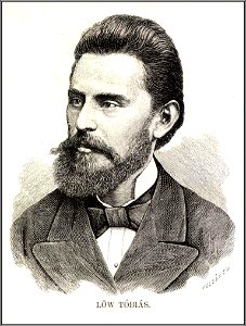 Lőw Tóbiás Vasárnapi Ujság, 1880. Nekrológ
