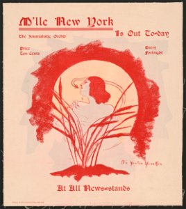 M'lle New York is out today at all news=stands LCCN2015646273