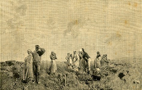 L’arrivo inatteso, - quadro di Francesco Lojacono